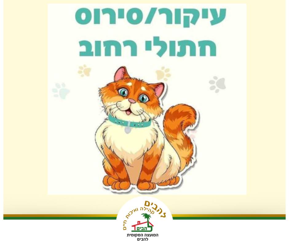 מבצע עיקור וסירוס חתולי רחוב
