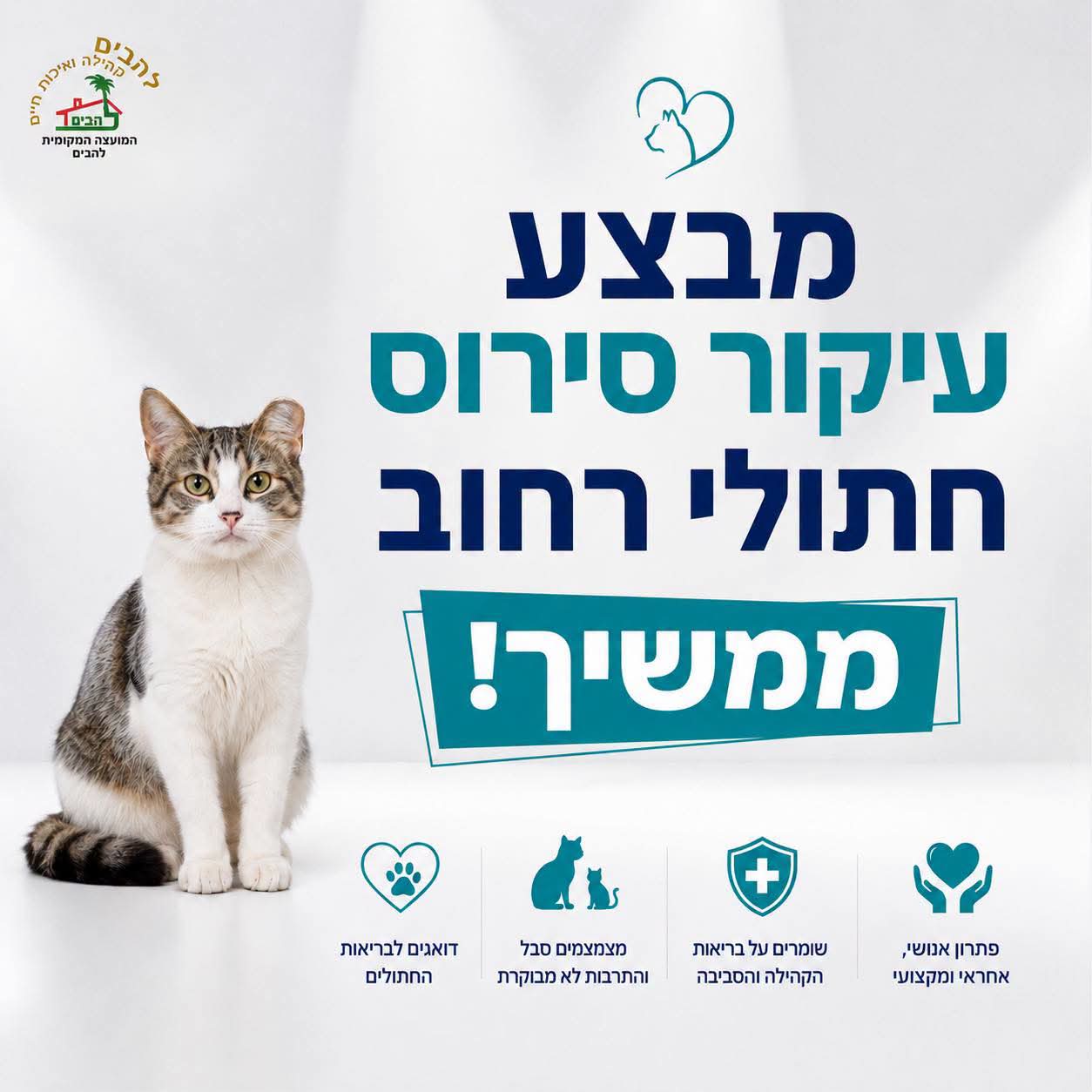 מבצע עיקור וסירוס חתולי רחוב